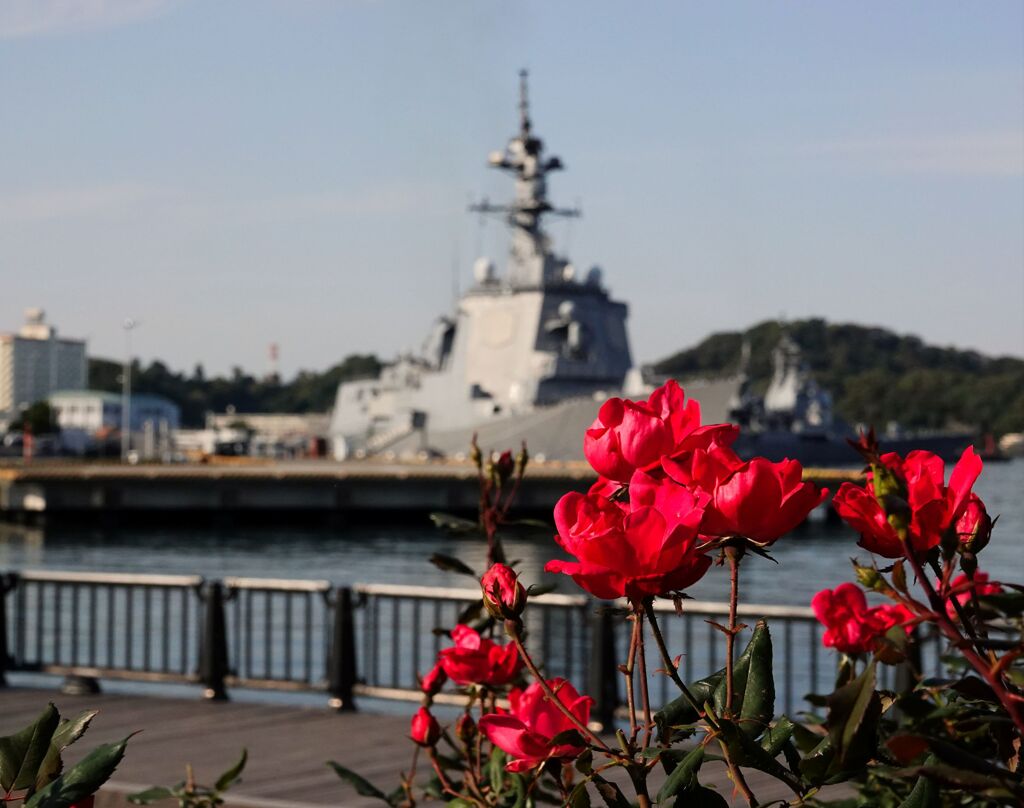 横須賀ヴェルニー公園