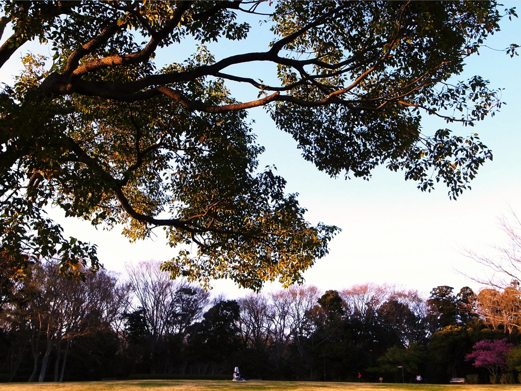 公園