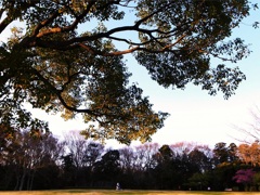 公園