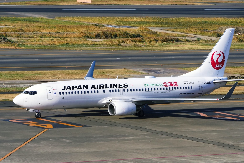 JAL 737-800 (JA306J)