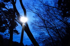外灯と夜