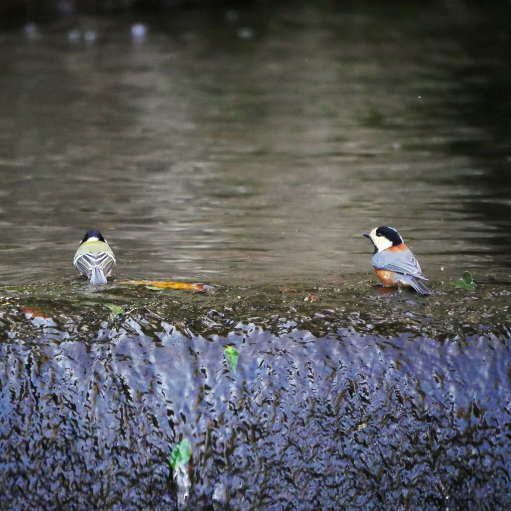 気になる