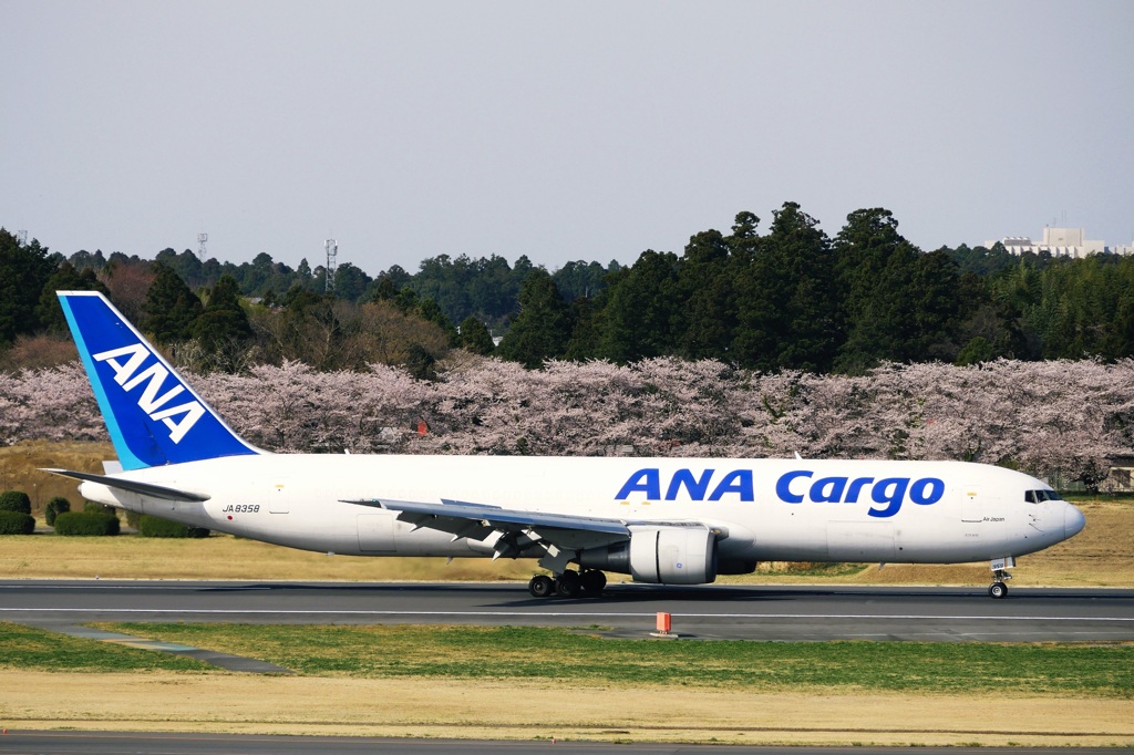 春のNRT