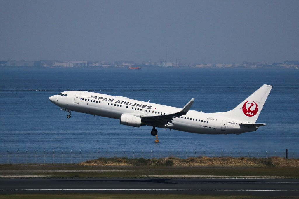JAL 737-800 (JA305J)