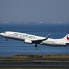 JAL 737-800 (JA305J)