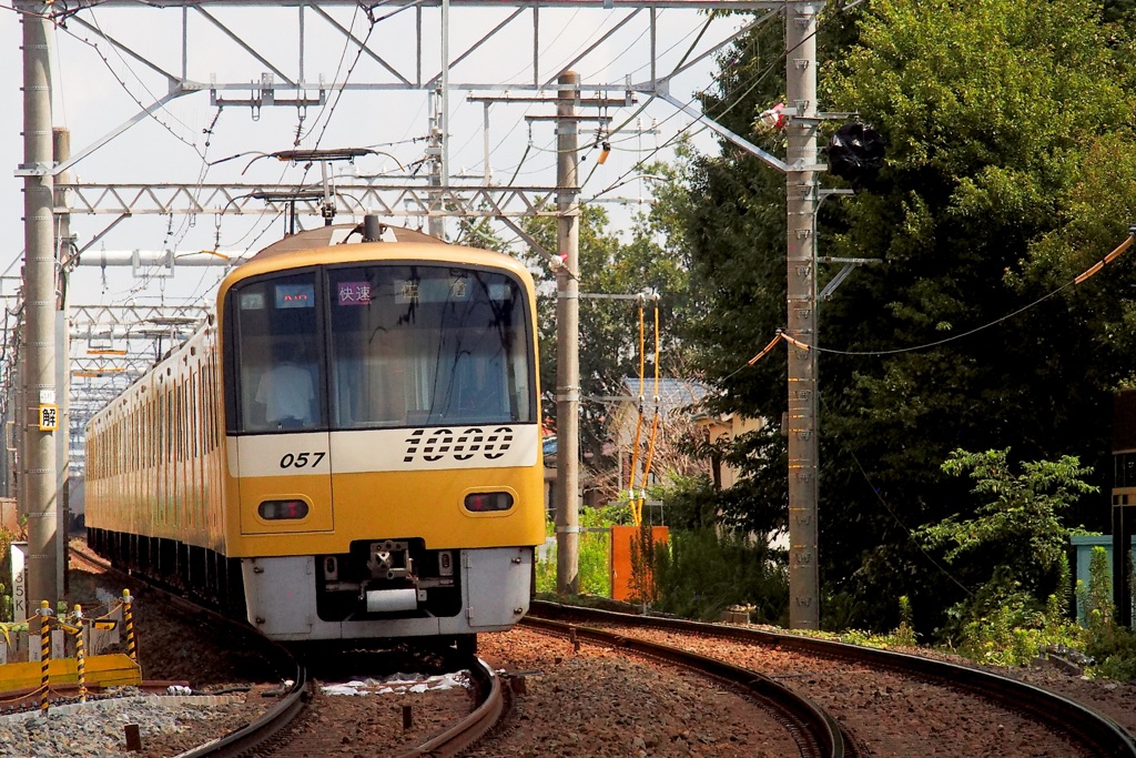 幸せの電車が行きます