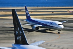 ANA 767-300 