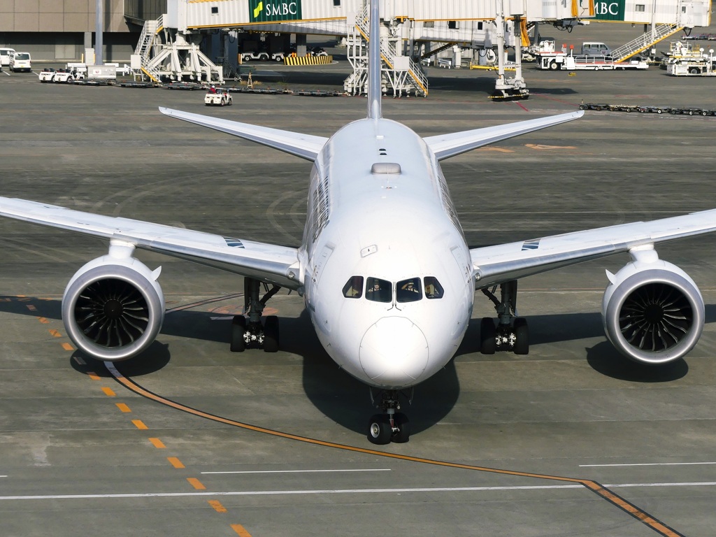 JAL 787-8 (JA841J)