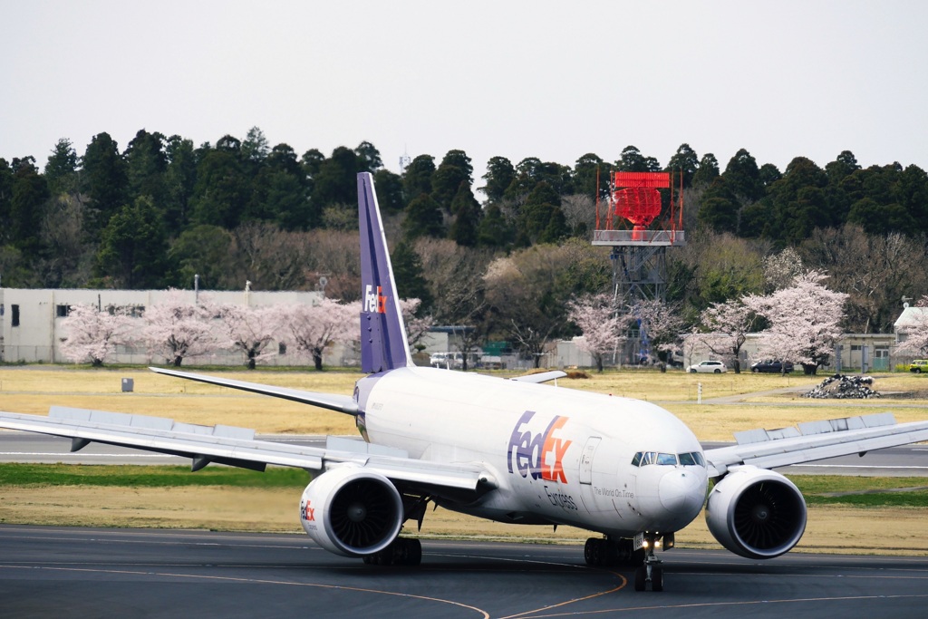 春のNRT(4)