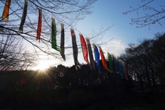 春の公園の風景