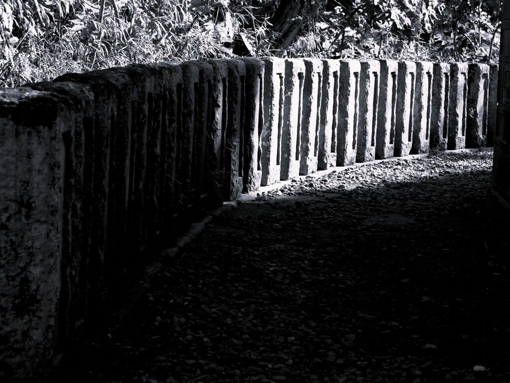 極楽は、先にある