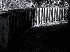 極楽は、先にある