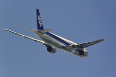 ANA 777-200 (JA713A)