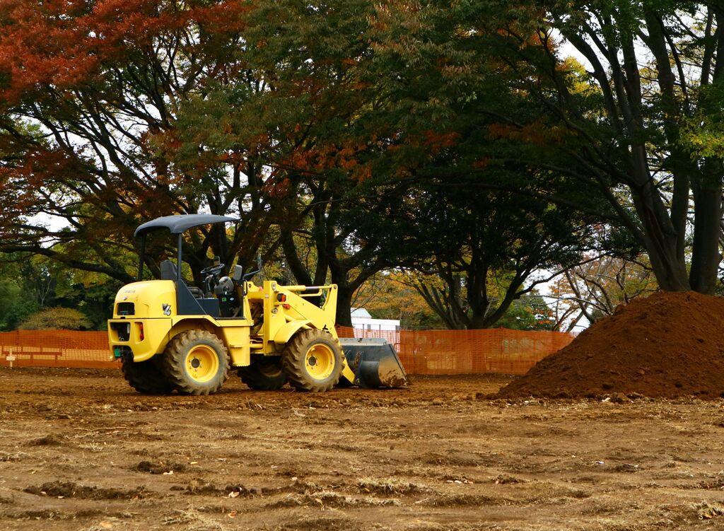 公園行って建機かよ
