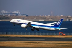 ANA 787-9 (JA877A)