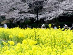春の風景