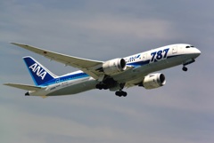 ANA 787-8 (JA822A) 