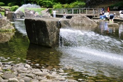夏の公園