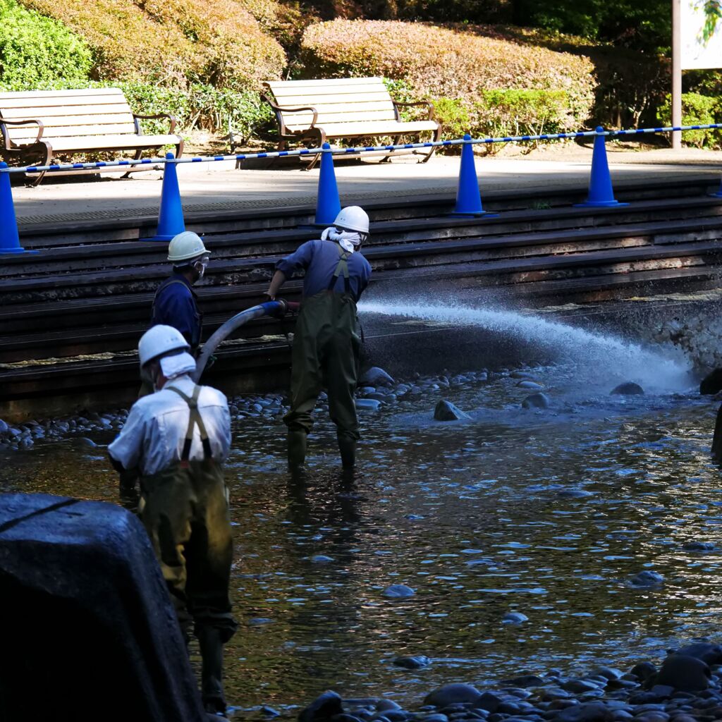 池の定期清掃中