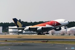 シンガポール航空 A380