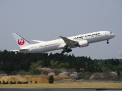 JAL 787-9 (JA872J)