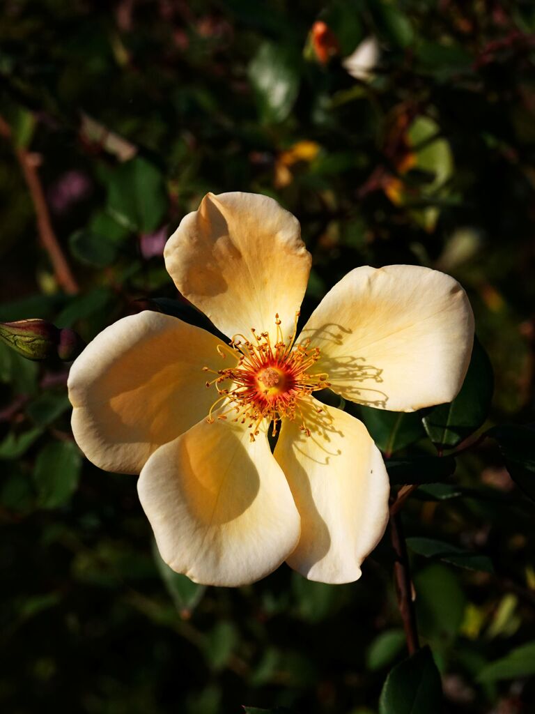 舶用プロペラですか