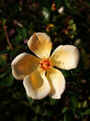 舶用プロペラですか