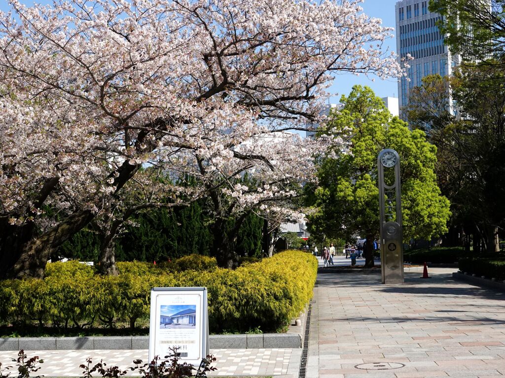 春のヴェルニー公園