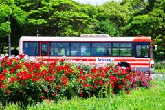 花とバス