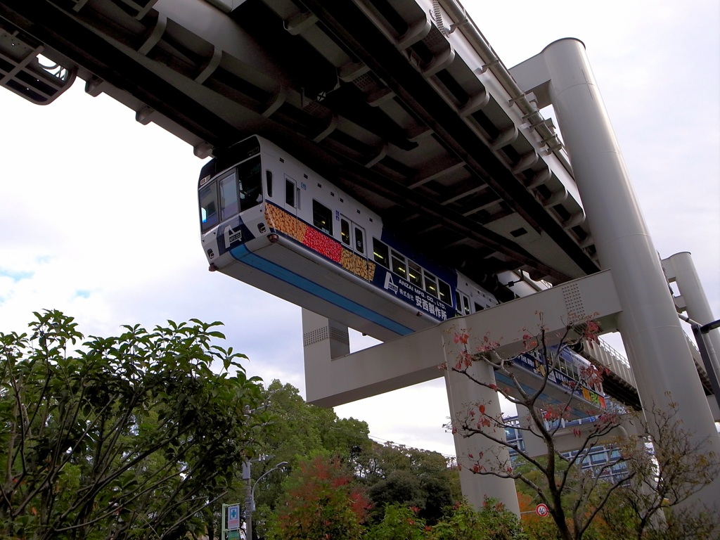 上を見上げれば…