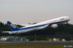 ANA 777-300