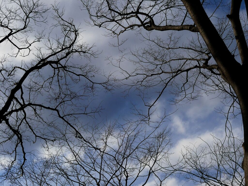 悪魔が出る空