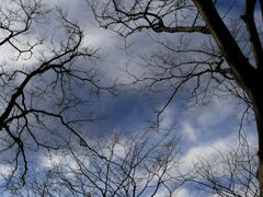 悪魔が出る空