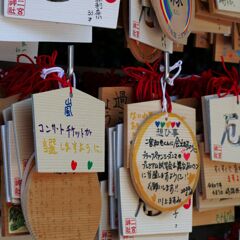 ファンの願い
