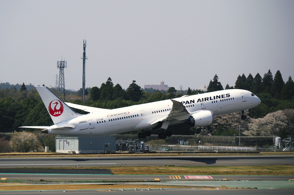 JAL 787-9 (JA869J)
