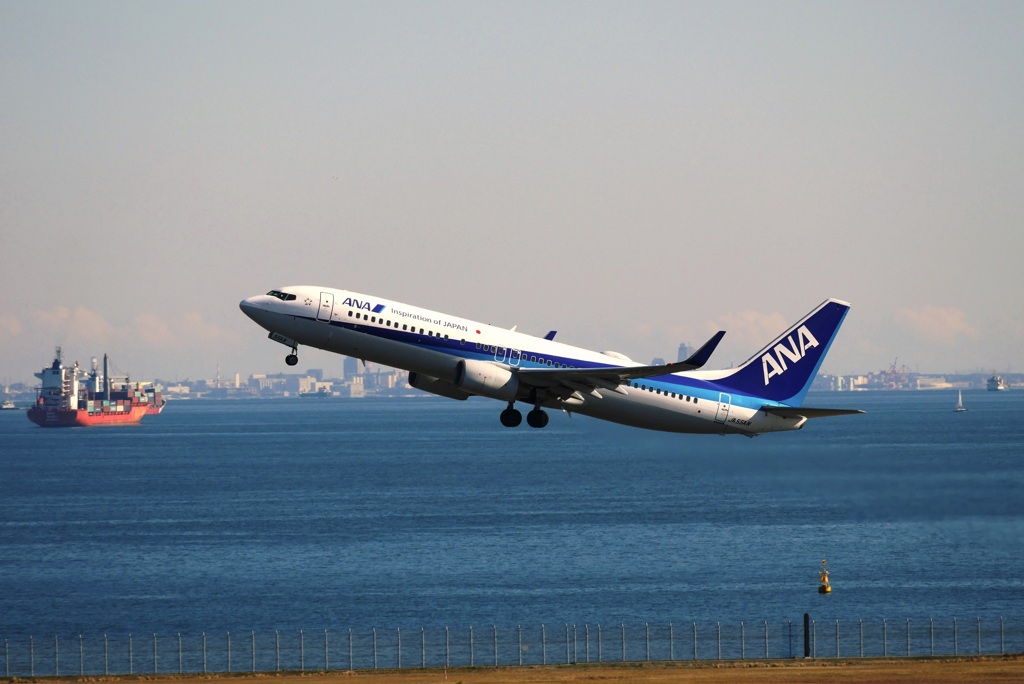 ANA 737-800 (JA55AN) by DVD （ID：8404365） - 写真共有サイト