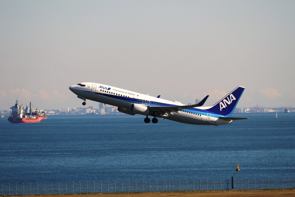 ANA 737-800 (JA55AN)