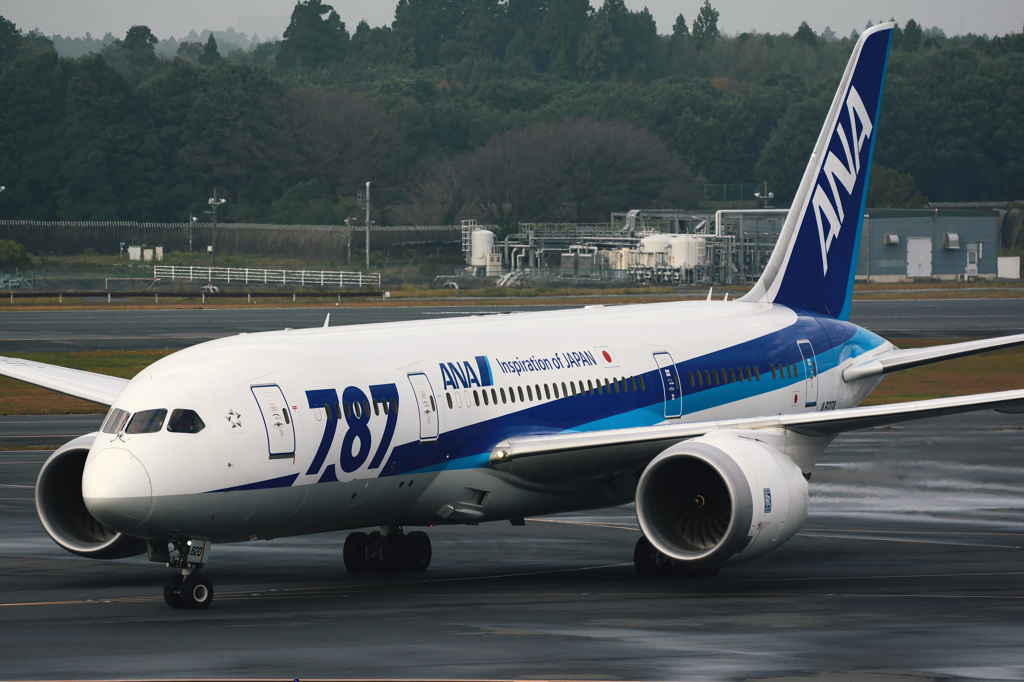 過去に撮る 787-8