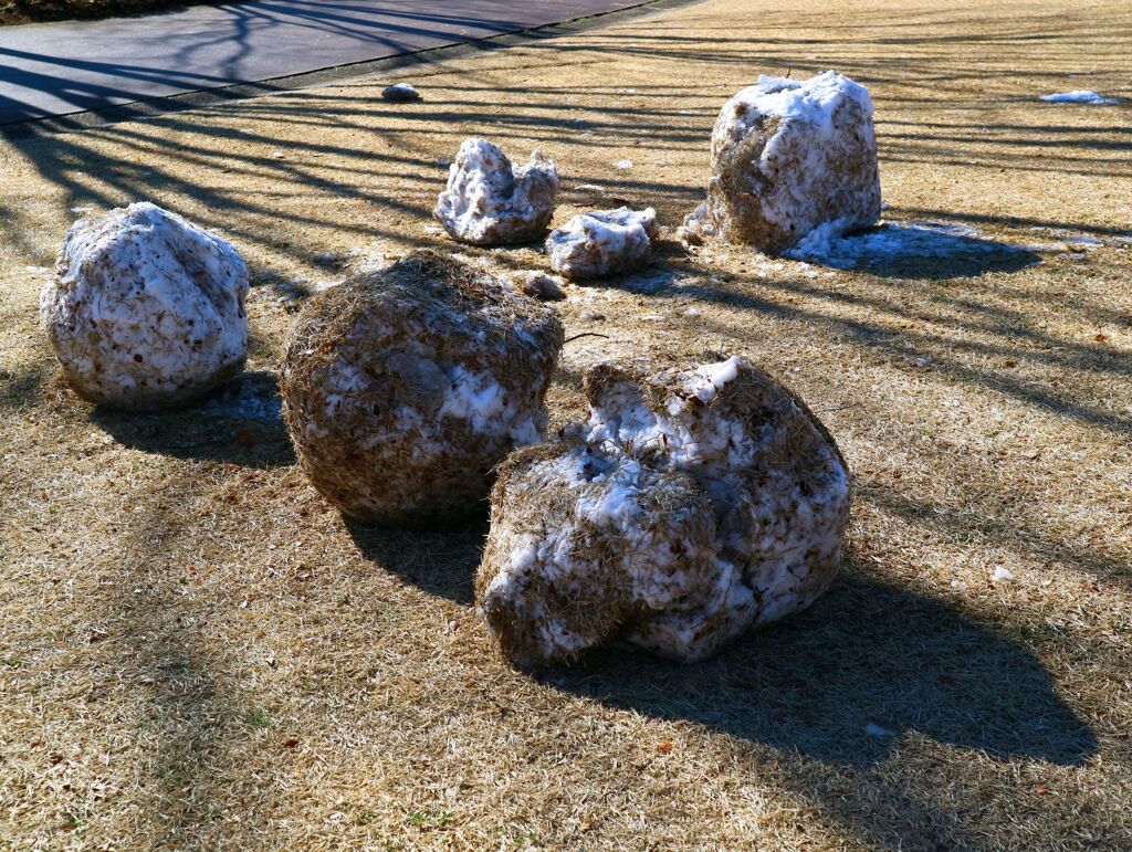 雪だるまになれなかった