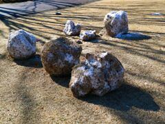 雪だるまになれなかった