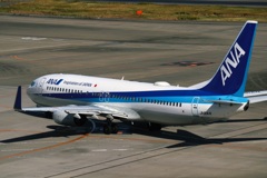 ANA 737-800 (JA81AN