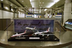 ようこそ成田空港へ