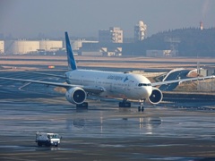 本日の成田空港