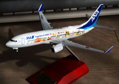 こんなヒコーキもありました