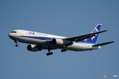ANA 767-300
