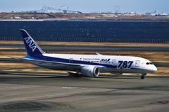 ANA 787-8 (JA812A)