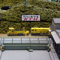 マニアっぽい