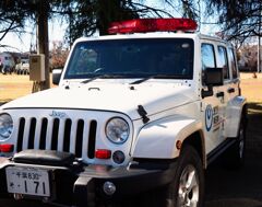 やっぱりアメ車なんだ