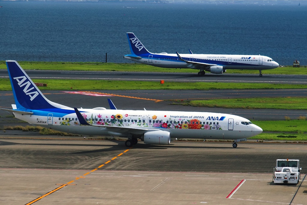 FLOWER JETの夏