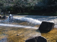 放水の時間